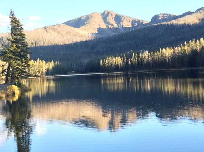 img_4447-sylvan-reflection